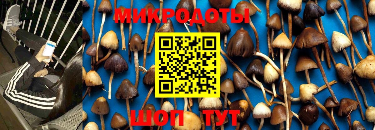 Псилоцибиновые грибы мухоморы Бутурлиновка