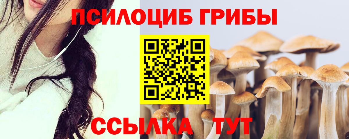 Бутурлиновка  Галлюциногенные грибы GOLDEN TEACHER  Вход с VPN  Галлюциногенные грибы Psilocybe 